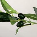 Pianta Artificiale Ulivo H180 cm con Vaso Verde