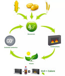 Camino a Bioetanolo da Incasso 120x40 cm Flig Bismarck
