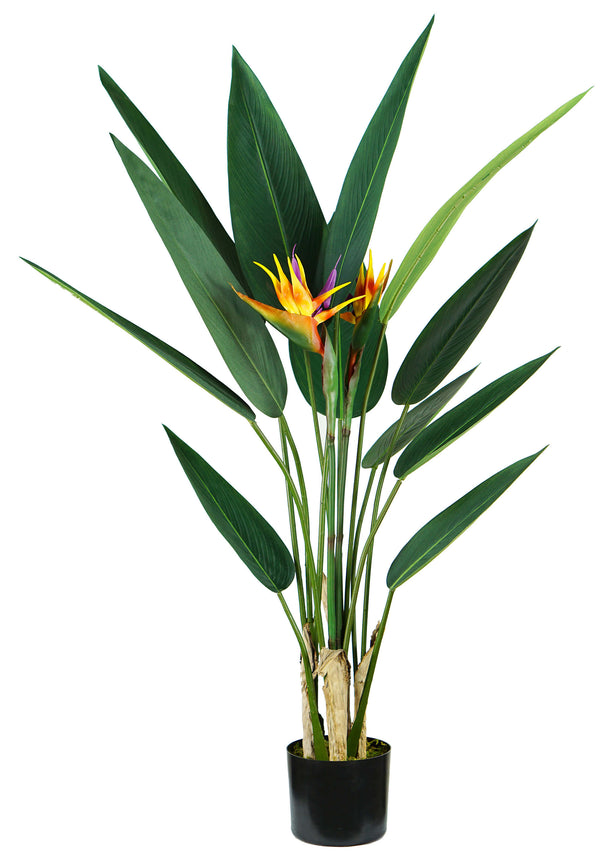 acquista Plante Artificielle Strelitzia H120 cm avec Pot Vert