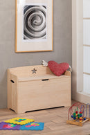 Cassapanca Baule in Legno 100x42x73 cm Star