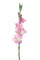 Set 4 Glaïeuls Artificiels Hauteur 85 cm Rose