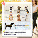 Passeggino per Cani Carrozzina Pieghevole Fino a 10kg con Finestre a Rete e Telaio in Acciaio Blu      