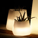Vaso Luminoso da Giardino a LED 56x49x43 cm in Resina 5W Magnolia Bianco Caldo