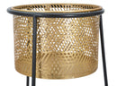 Porta Vasi Coppia Exy Ø37x76-27x51 cm in Ferro Oro e Nero