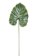 Set 12 Foglia Artificiali di Pothos H 66 cm