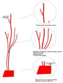 Appendiabiti da Terra 33x33x178 cm in Ferro Battuto Vasconi Castagno Rosso