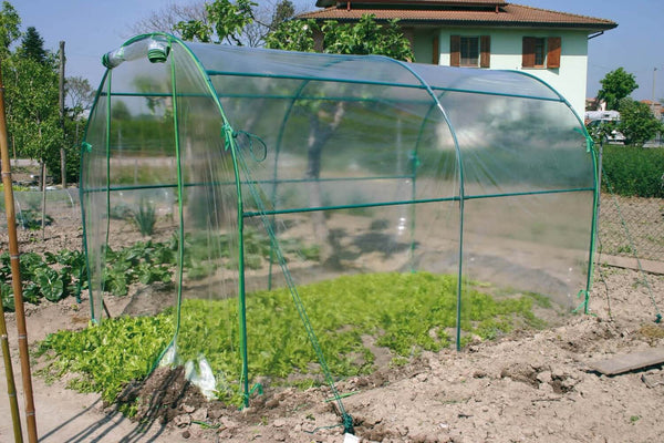 sconto Serre de jardin tunnel en acier Premium Green Rama