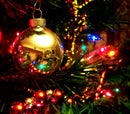 Luci di Natale 240 LED 11,56m Multicolor da Interno Cavo Verde