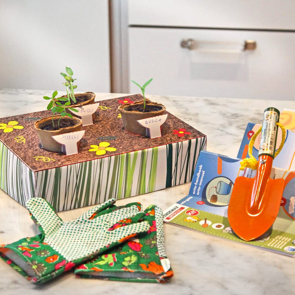 sconto Kit de culture de jardin Jeu éducatif pour enfants Rama Orobimbo