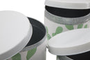 Cofanetti in Latta Cactus Set 3 Pz Ø15x13,5-14x11,5-12,5x10 cm in Ferro Bianco, Verde