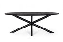 Tavolo 200x110x76h cm Ovale Hastings