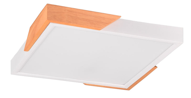 Plafoniera da Interno a LED in Plastica Bianco Opaco