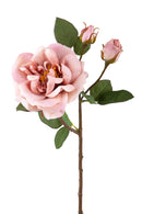 Set 4 Rose Artificiali Inglese Altezza 48 cm 