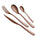 Ménagère de Service 24 Pièces en Acier 18/10 PVD Eme Etoile Chocolat