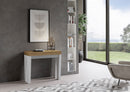 Consolle Allungabile 90-300x40x77 cm in Nobilitato Marrone e Bianco