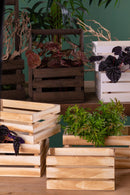 Set di 2 Cassetta in Legno con manico centrale Altezza 44,5 cm