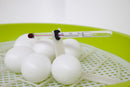 Incubatrice per Uova Smart Digitale 24 Verde