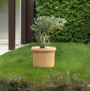 Vaso Ø40x30cm in Resina Tulli Cilindro Vicenza Classic 40 Cappuccino