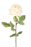 Set 4 Rose Artificiali con Dry Altezza 62 cm 