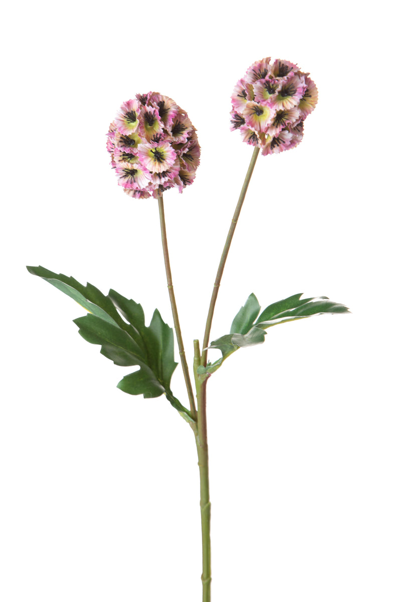 Set 6 Rami Artificiali di Scabiosa Stellata con Fiori Artificiali Altezza 58 cm Rosa