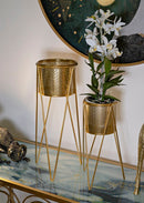 Porta Vasi Glat Coppia 21x20x46 cm - 18x18x32 cm in Ferro Oro      