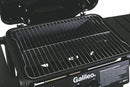 Barbecue a Gas GPL 2 Bruciatori Soriani Gastone