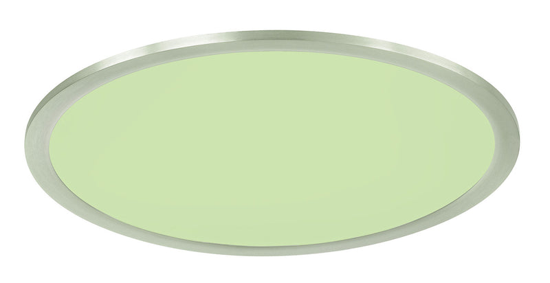 Plafoniera da Interno a LED in Metallo Nichel Opaco