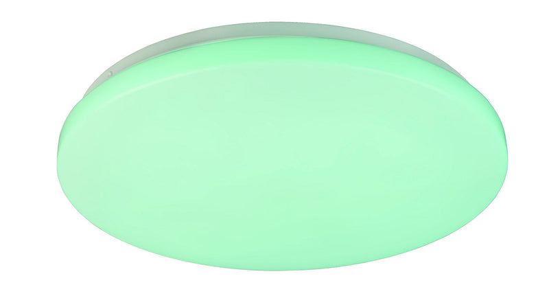 Plafoniera da Interno a LED in Plastica Bianco