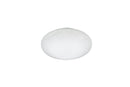 Plafoniera da Interno a LED in Plastica Bianco
