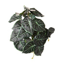 Set 4 Foglie Artificiali Syngonium per 21 Foglie 18 cm 