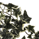 Set 2 Edera Artificiale English Ivy con 129 Foglie Altezza 68 cm Verde