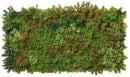 Set 4 Pezzi Arella Siepe Sintetica Muschio Gold Verdemax 50x100 cm in LDPE Resistente ai Raggi UV Verde