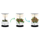 Macchina per Coltivazione di Piante Erbe Fiori con Lampada LED Garden Machine Nero