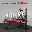 Panca Fitness con Rack per Pesi Schienale e Sedile Regolabili Dip Station Capacità 420 kg in Acciaio Nero e Rosso      