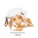 Set 6 Conchiglie Red Eluthani Peso 500 gr