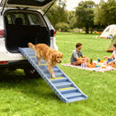 Rampa Pieghevole per Cani per Auto e Letti Alti a 10 Gradini 154x40x7,5 cm con Strisce e Tappetini Antiscivolo in PP e TPR Grigio      