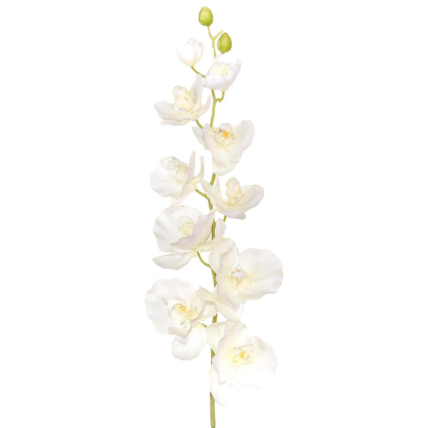 online Set 2 Phalaenopsis Artificiels avec 10 Fleurs Hauteur 109 cm