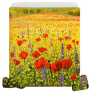 Trapuntino Matrimoniale in Microfibra 80gr con Stampa SD 25