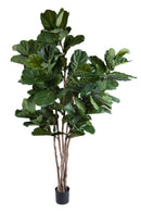 Pianta Artificiale Ficus Lyrata 220 cm 129 F con Vaso