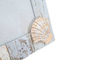 Cornice Shell 20,4x3,2x26,3 cm in Poliresina