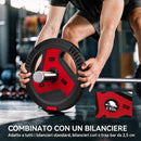 Dischi Palestra Set 4 con Maniglie 20 kg e Foro 2,5 cm in PP e Cemento      