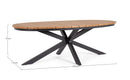 Tavolo da Esterno 218x115x75h cm in Alluminio Zelmar Naturale e Antracite  