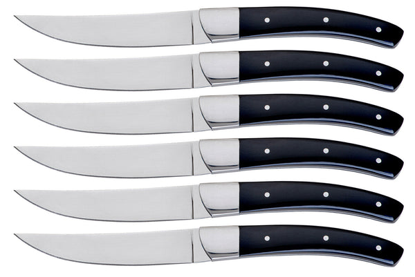 online Set de 6 Couteaux à Steak Lame Lisse Manche Plastique Tyson Noir