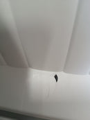 Armadio in Resina Antiurto Terry Wave 2A 70X44X181Cm 2 Ante 5 Ripiani da Esterno Seconda Scelta