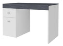 Scrivania 1 Anta 1 Cassetto 100x60x75 cm Sliding Bianco Lucido e Ardesia