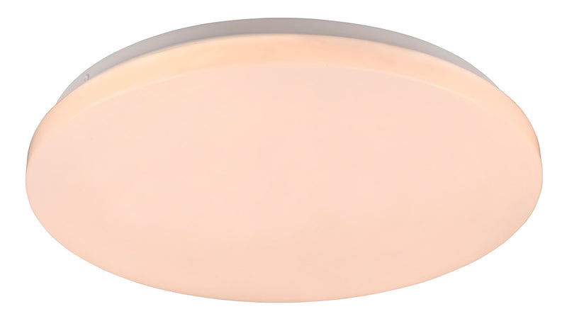 Plafoniera da Interno a LED in Plastica Bianco