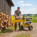 Spaccalegna Orizzontale Elettrico Spinta 12 Tonnellate Famag SL12 e 600