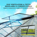 Serra per Orto 304x247x205 cm con Porta a Battente e 2 Finestre Regolabili in PC e Alluminio Nero      