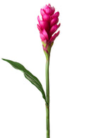 Set 2 Rami Artificiali Ginger 99 cm con Foglia