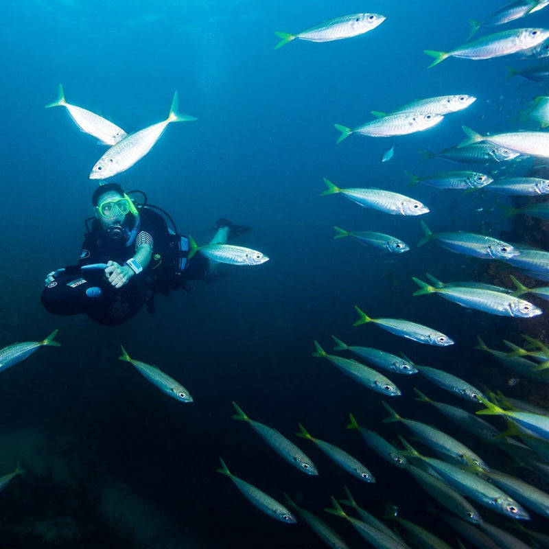 Acquascooter Elettrico Yamaha RDS280 DPV 4,5Km/h